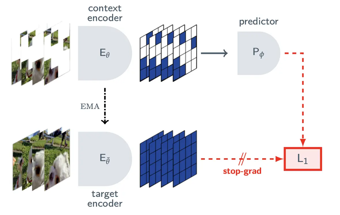 V-JEPA: a tube-masked clip through the context encoder, an EMA target encoder, and a stop-gradient on the target branch