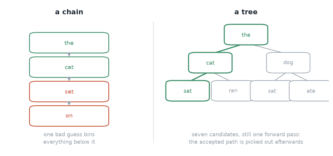 Two draft structures side by side: a single chain of four tokens, and a branching tree of candidates covering more continuations in one verification