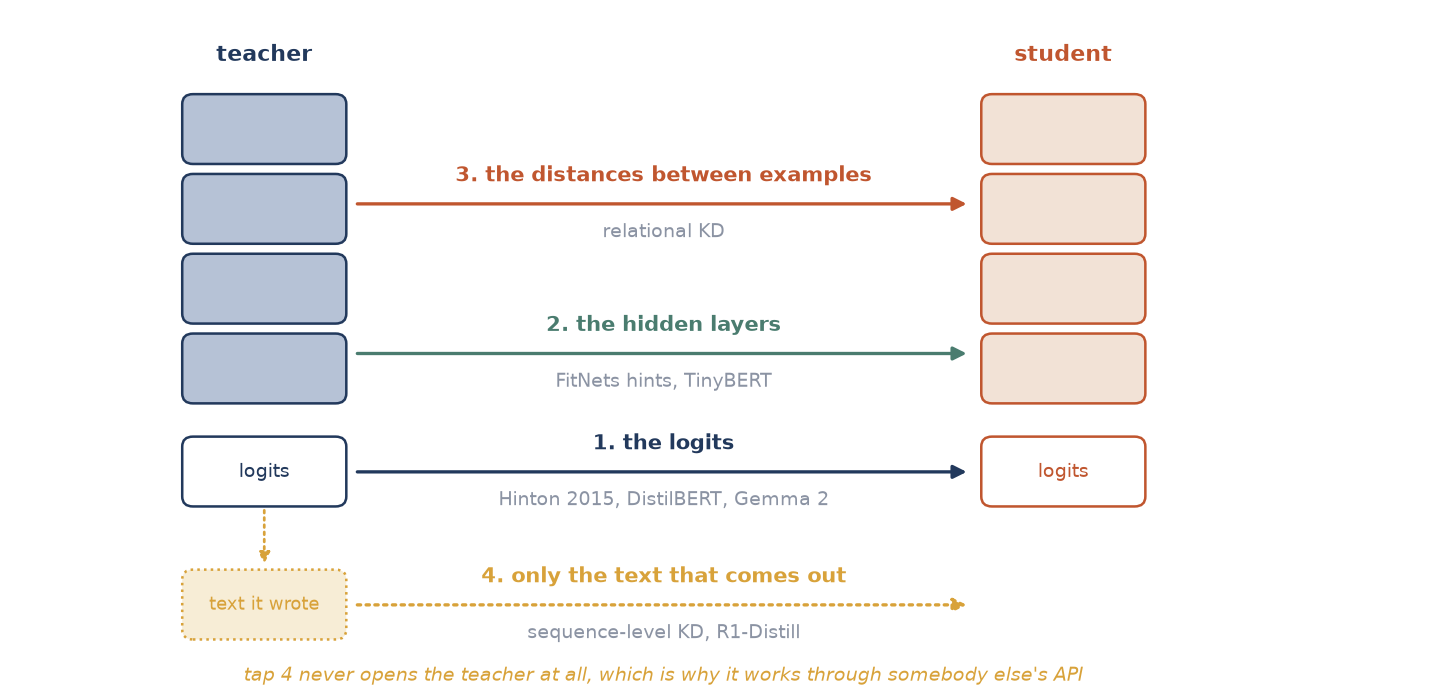 Diagram of a teacher stack and a student stack with four labelled arrows between them: logits, hidden layers, distances between examples, and the text the teacher wrote
