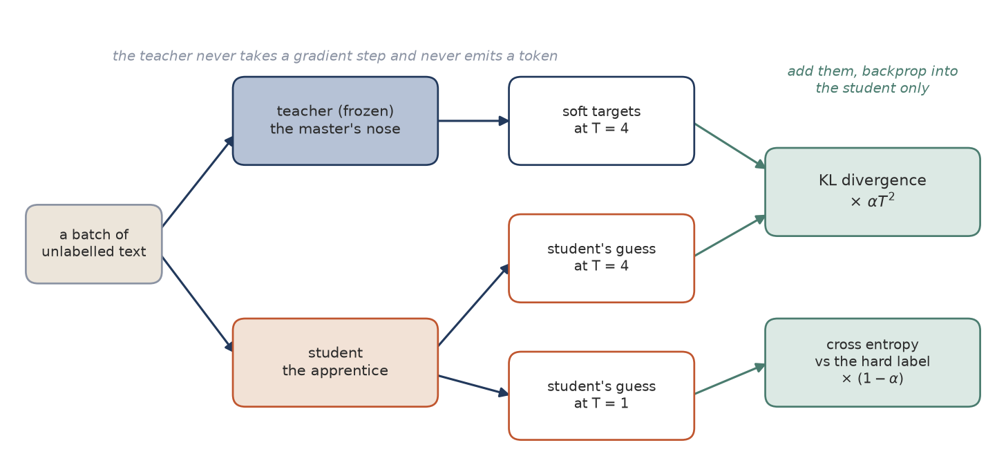 Flow diagram: a batch feeding a frozen teacher and a student, the teacher's soft targets and the student's guesses meeting at a KL term, plus a cross-entropy term against the hard label