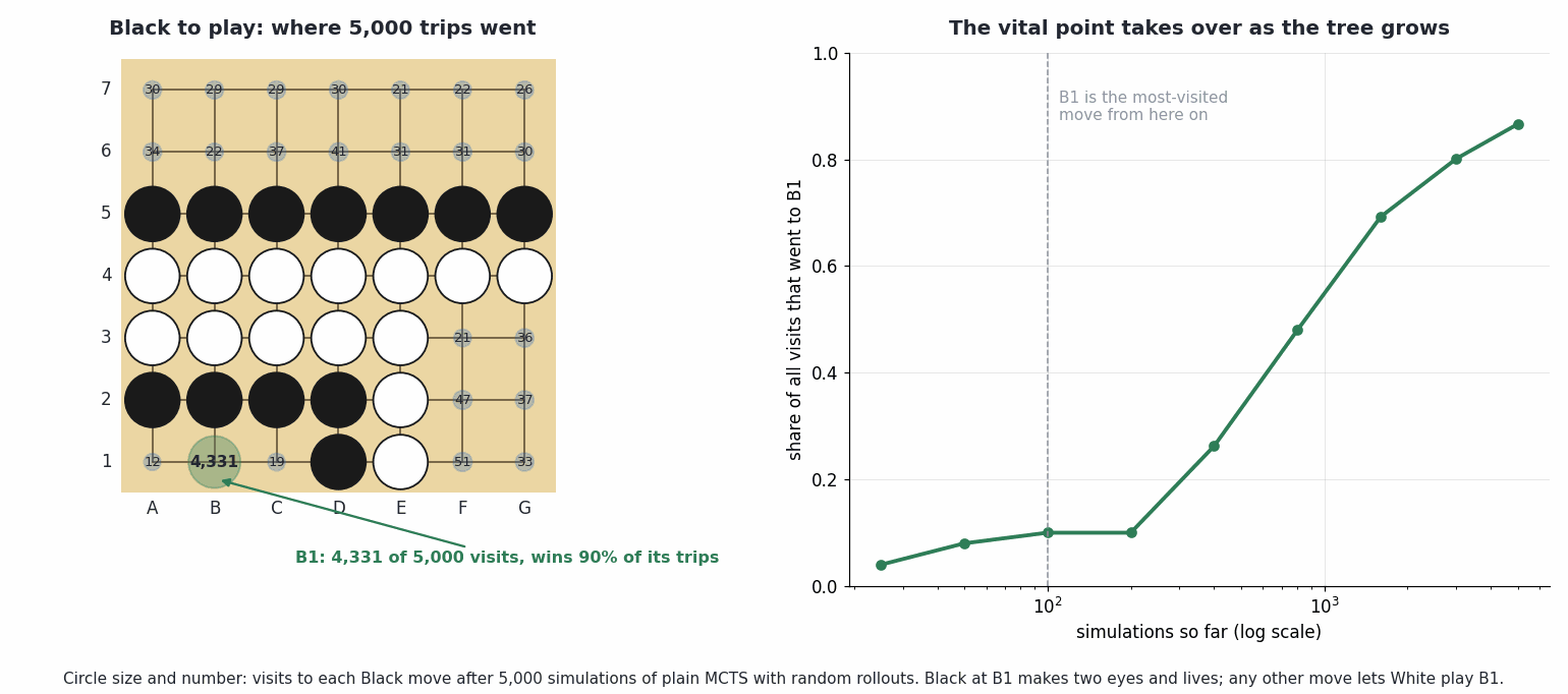 A 7 by 7 Go board with visit counts on every empty point, B1 with 4,331 visits, beside a line chart of B1's share of visits rising with the number of simulations