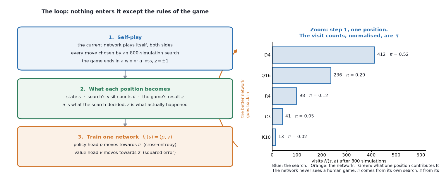 The self-play loop as three boxes, with a zoom panel showing visit counts becoming the policy label