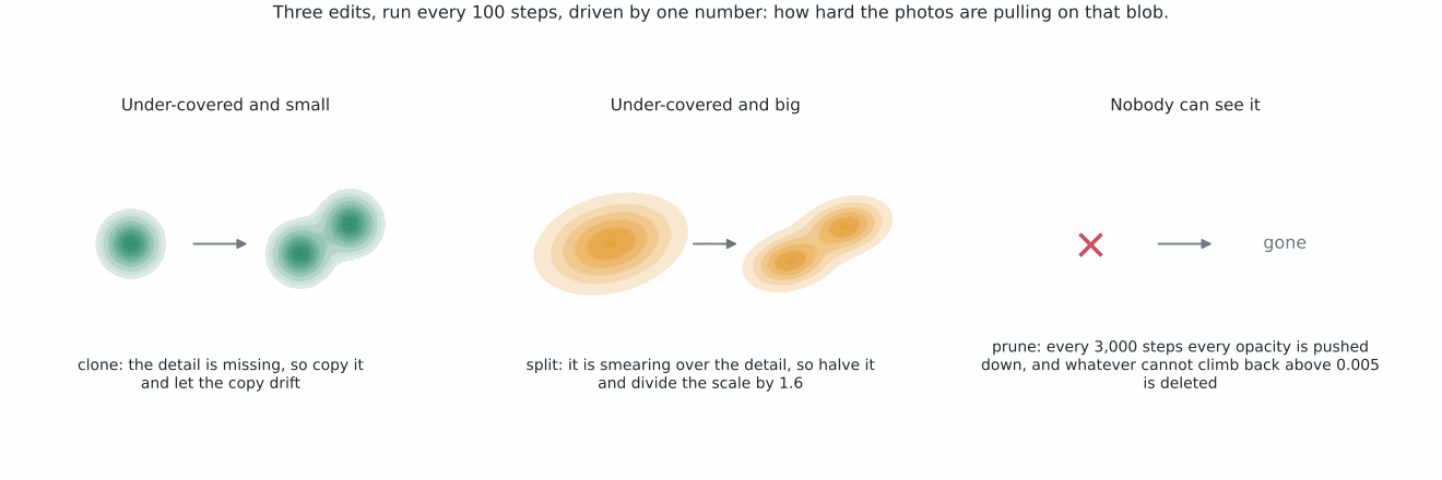 Three panels: a small blob becoming two, a large elongated blob becoming two smaller ones, and a nearly transparent blob marked with a cross and deleted